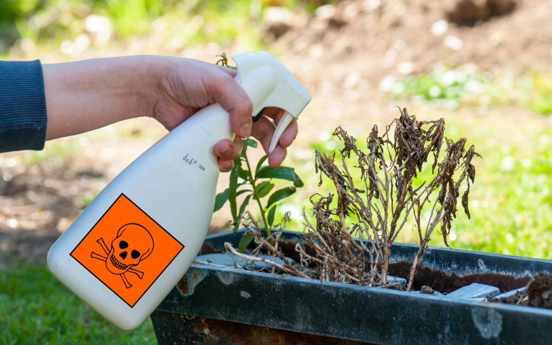 What To Do About The Link Between ADHD / ADD and Pesticides