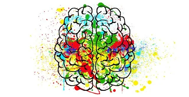 ADHD brain