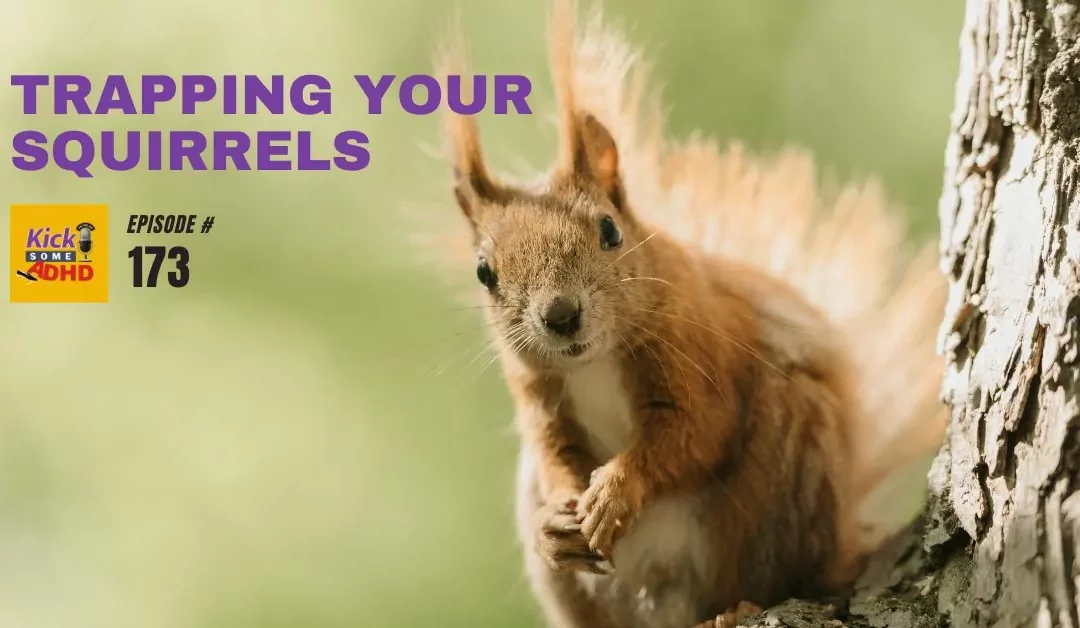 Ep. 173: Trapping Your Squirrels